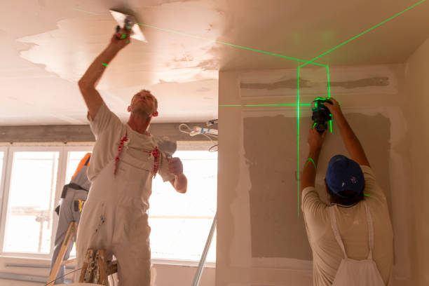 Environmental Consulting for Mold Prevention in Cedar Hill, TX