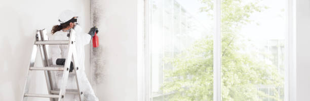 Cedar Hill, TX Mold Removal Company