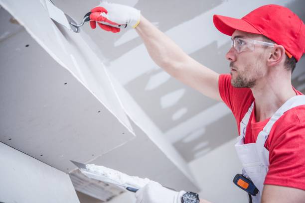 Best Mold Removal for HVAC Installations  in Cedar Hill, TX
